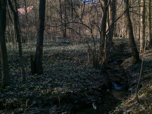 Bledulkovit pod ertovm mlnem