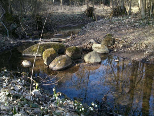 Pechod z kamen pes Blou