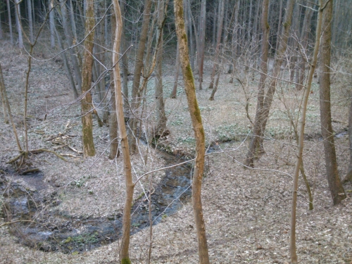 rozdlen a zase spojen Bl