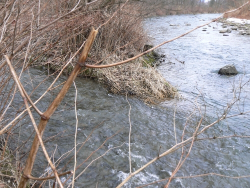 Soutok Bl a Labe v roce 2009