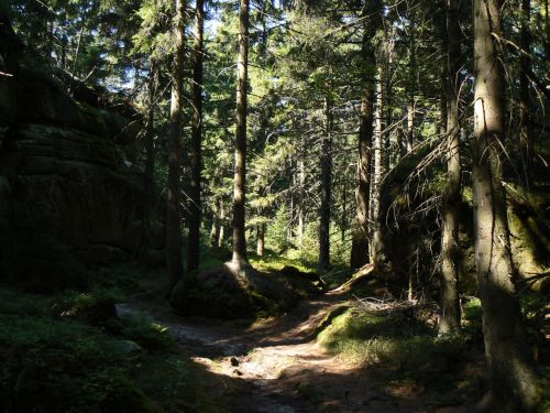 Cesta mezi skalnmi hradbami