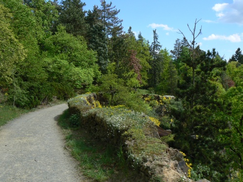 Cesta nad rybnkem Bonem