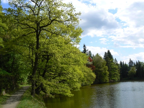 Krsn barvy kolem Bona