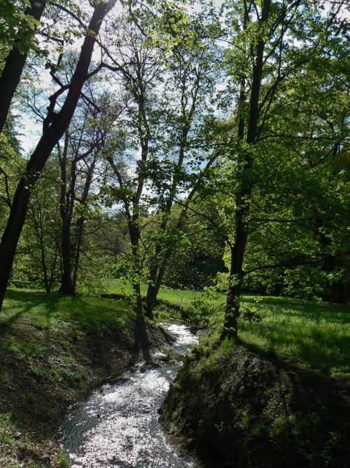 Pirozen st toku Botie