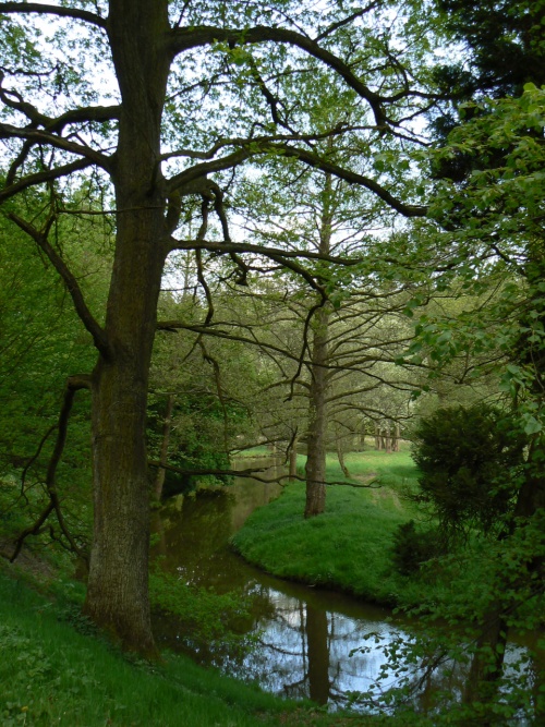 Klidn tok Botie nad rybnkem Labekou