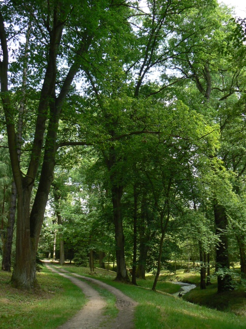 dol Dobejovickho potoka