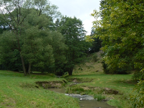 Meandry Dobejovickho potoka