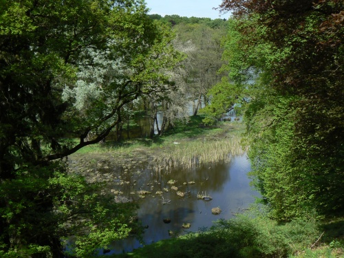 Divok konec rybnka Labeky