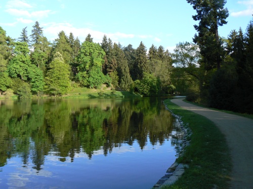Podzmeck rybnk v paprscch zapadajcho slunce