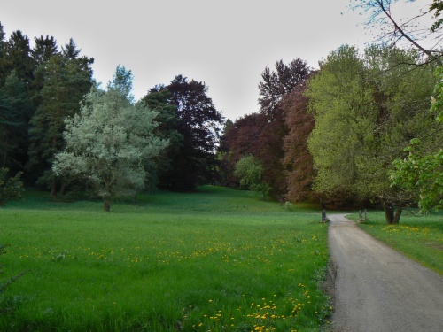 Blzko soutoku Zdimickho potoka a Botie