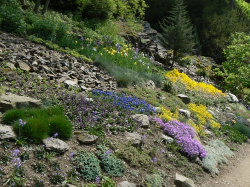 Skalka v jednom kvtu