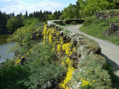 Alpsk cesta nad rybnkem Bonem