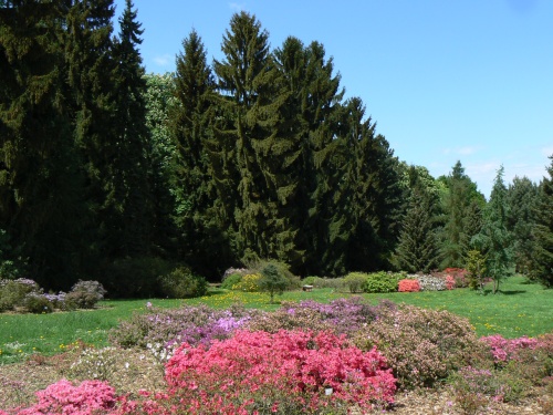 Botanick zahrada pln barev