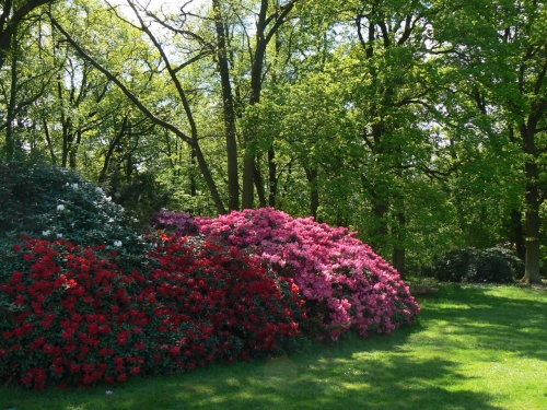 Od malch a po velk, vechno v jednom kvtu