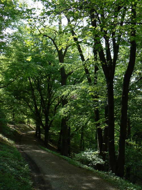 Cesta bom nad Labekou
