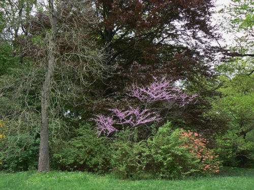 Kvetouc kee u rybnka Labeky