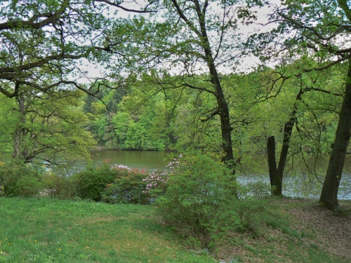 Rj kvetoucch ke u Labeky