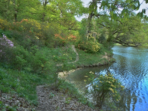 Kvetouc kee u Labeky