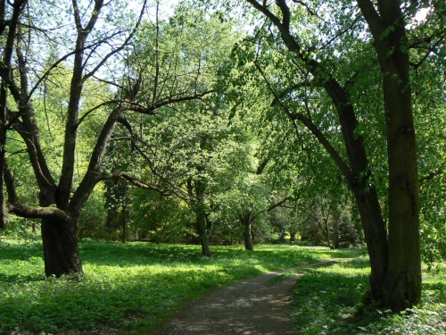 Konec Prhonickho parku