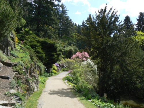 Kvtky barevn v alpinu