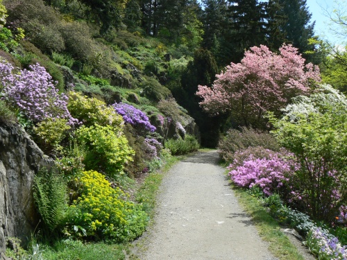 Krsn kvetouc byliny a kee