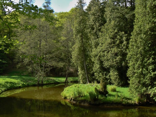 Ostrvek obklopen vodou Botie