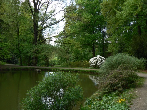 Rybnek v postrannm dol