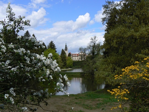 Prhled skrz kvetouc kee na zmek