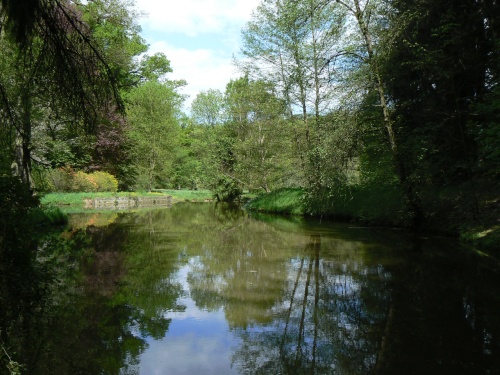 Jeden z mnoha malch rybnk