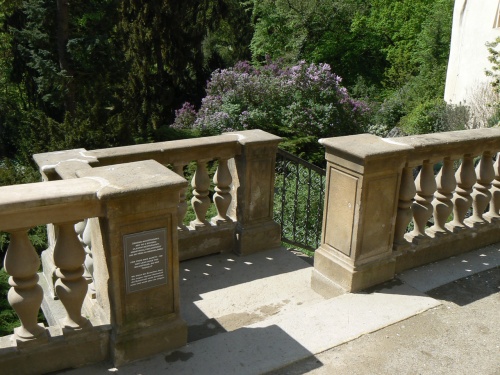 Schody z ndvo do parku