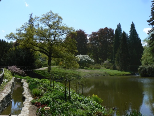 Krsa u Podzmeckho rybnka