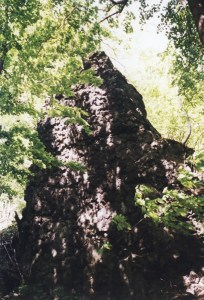 ediov skly na bo Ralska