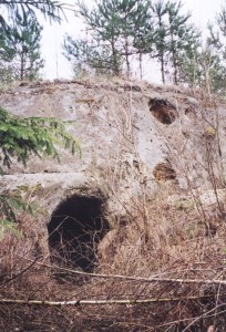 Skaln svtnika na lapce