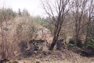 Trosky kamennho domu pod hradem