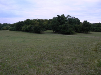 stare_hradisko.jpg, 63kB