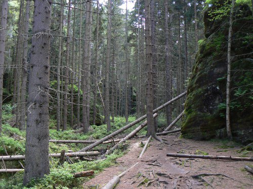 Zatek nejkrsnj sti Vl rokle