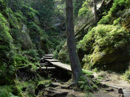 Nejdivoej st Vl rokle