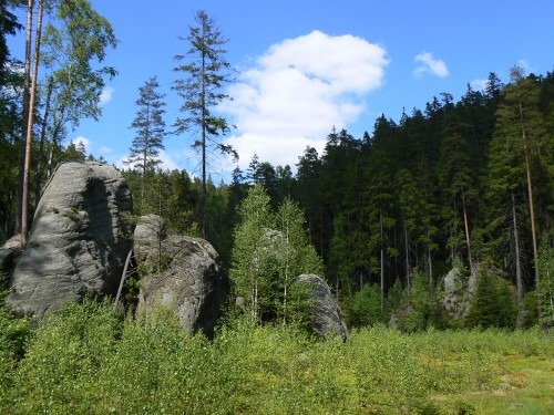 Bainat louka na konci Vl rokle