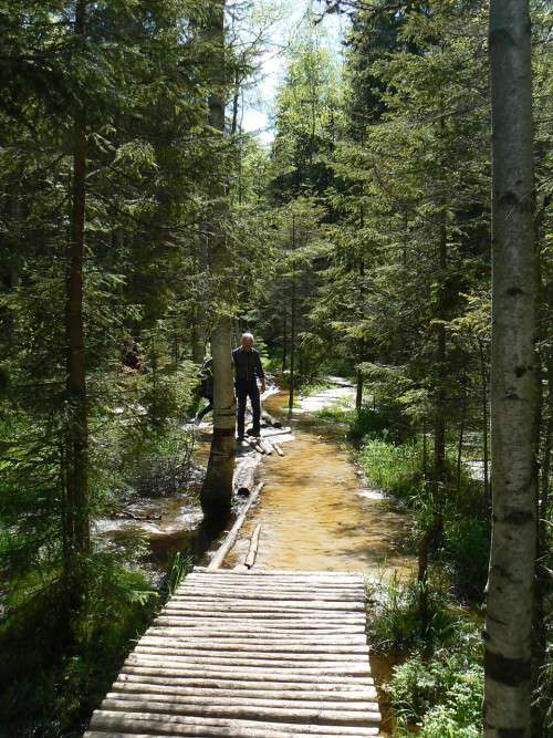 Chodnek kon, pjdeme po hatch