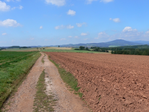 Po cest Trhovici - pohled zpt