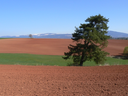 Pohled pes dol zpt ke kaplice