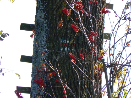 Zbytek znaky u ihadla