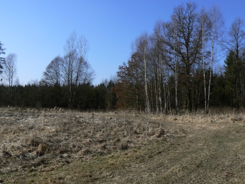 Zatek cesty do Lzn Fotu