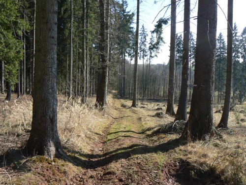 Zbytek znaky v dol ped Planinkou