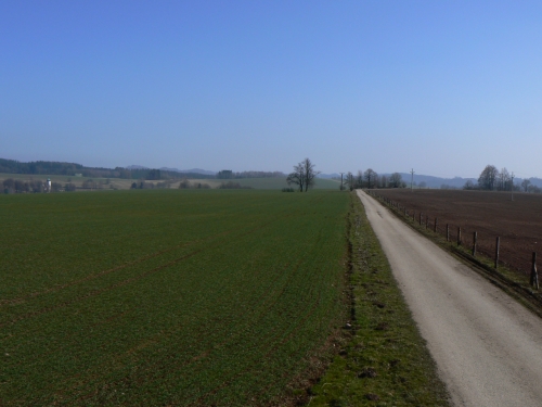 Pohled podl silniky smrem k rudnickmu kravnu