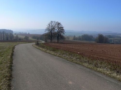 Silnika na poho mezi Javornkem a Rudnkem