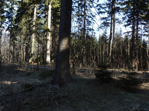 Zbytek erven znaky u odboky na Zlat vyhldce